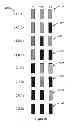 Fig. 26 - DYNAMIC ADAPTIVE ILLUMINATION CONTROL FOR FIELD SEQUENTIAL COLOR MODE TRANSITIONS