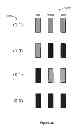 Fig. 29 - DYNAMIC ADAPTIVE ILLUMINATION CONTROL FOR FIELD SEQUENTIAL COLOR MODE TRANSITIONS