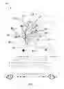 Fig. 07 - VISUAL REPRESENTATIONS OF STRUCTURED ASSOCIATION MAPPINGS