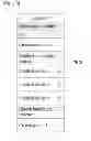 Fig. 43 - Mobile terminal and controlling method thereof