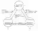 Fig. 01 - REMOTE COLLABORATIVE DIAGNOSIS METHOD AND SYSTEM USING SERVER-BASED MEDICAL IMAGE SHARING SCHEME