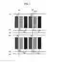 Fig. 02 - Liquid crystal display device and method of driving the same