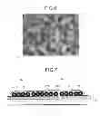 Fig. 06 - Printing apparatus, treatment object modifying apparatus, printing system, and printed material manufacturing method