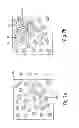 Fig. 08 - Method and device for producing color images on substrates containing color bodies and products produced thereby