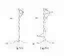 Fig. 06 - LIQUID CRYSTAL DISPLAY APPARATUS