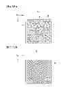 Fig. 22 - Light-diffusion member, manufacturing method thereof, and display device