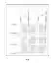 Fig. 02 - Array substrate of LCD display and a manufacturing method thereof