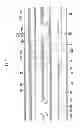 Fig. 08 - Display device and method of manufacturing the same
