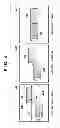 Fig. 04 - OPHTHALMIC IMAGING APPARATUS, CONTROL METHOD OF OPHTHALMIC IMAGING APPARATUS AND STORAGE MEDIUM