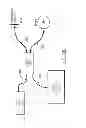 Fig. 26 - Systems for comprehensive fourier domain optical coherence tomography (FDOCT) and related methods