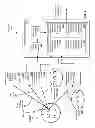 Fig. 07 - Self-aligning unobtrusive active eye interrogation