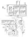 Fig. 07 - Time-based unobtrusive active eye interrogation