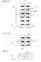 Fig. 07 - LENS ARRAY, IMAGE-FORMING APPARATUS AND IMAGE-READING APPARATUS INCLUDING LENS ARRAY
