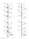 Fig. 03 - LIGHT EMITTING DIODE ARRAY FOR ENHANCING APPEARANCE OF FISH