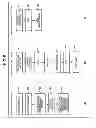 Fig. 06 - Optical information recording and reproduction device, optical information recording device, method for recording and reproducing optical information and optical information recording medium