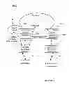 Fig. 02 - Network system, offload apparatus and traffic control method for network system