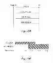 Fig. 16 - Control channel in a high-speed packet access system