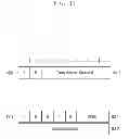 Fig. 16 - METHOD AND APPARATUS FOR TRANSMITTING DATA USING A MULTI-CARRIER IN A MOBILE COMMUNICATION SYSTEM