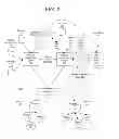 Fig. 03 - PHASE DETECTION IN MESH NETWORK SMART GRID SYSTEM