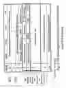 Fig. 09 - Direct mode adapter based shortcut for FCoE data transfer