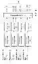 Fig. 09 - High-density quality-adaptive multi-rate transcoder systems and methods