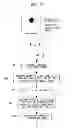 Fig. 08 - Fluoroscopy apparatus, fluoroscopy system, and fluorescence-image processing method