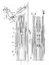 Fig. 06 - Preconnectorized cable assemblies for indoor/outdoor applications