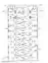 Fig. 02 - Optical fiber carrier