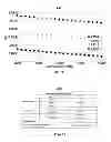 Fig. 40 - Multicore fiber designs for spatial multiplexing