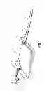 Fig. 02 - Snowmobile Ski Tie Down Tray