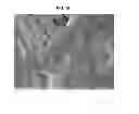 Fig. 14 - Rare earth metal compounds, methods of making, and methods of using the same