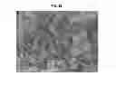 Fig. 17 - Rare earth metal compounds, methods of making, and methods of using the same