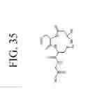 Fig. 46 - KDR and VEGF/KDR binding peptides and their use in diagnosis and therapy