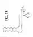 Fig. 65 - KDR and VEGF/KDR binding peptides and their use in diagnosis and therapy