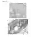Fig. 03 - METHODS FOR TREATING SUN-EXPOSED SKIN