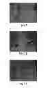 Fig. 03 - Self-Assembling Peptide and Peptide Gel with High Strength