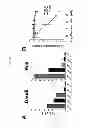 Fig. 05 - Tetrameric cytokines with improved biological activity