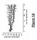 Fig. 02 - Use of an agent that restores tissue perfusion and oxygenation