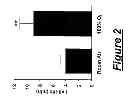 Fig. 04 - Use of an agent that restores tissue perfusion and oxygenation