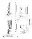 Fig. 07 - Use of an agent that restores tissue perfusion and oxygenation