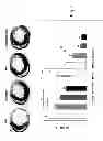 Fig. 07 - Silylated biomolecule-based hydrogel for culturing cardiomyocytes and stem cells, and use of the hydrogel thereof for treating heart failure