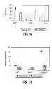Fig. 07 - Mesenchymal stem cells and uses therefor
