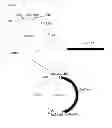 Fig. 02 - METHODS FOR CONTROLLING PEST