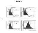 Fig. 02 - AUGMENTATION OF CELL THERAPY EFFICACY INCLUDING TREATMENT WITH ALPHA 1-3 FUCOSLYTRANSFERASE