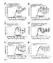 Fig. 02 - Therapeutic compositions and related methods