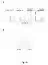 Fig. 03 - Selective elimination of erosive cells
