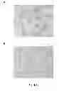 Fig. 18 - Selective elimination of erosive cells