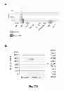 Fig. 22 - Selective elimination of erosive cells
