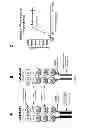 Fig. 06 - CONSTITUTIVELY ACTIVE UPAR VARIANTS AND THEIR USE FOR THE GENERATION AND ISOLATION OF INHIBITORY ANTIBODIES