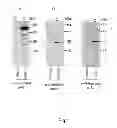 Fig. 02 - DIAGNOSTIC AND THERAPEUTIC TARGET